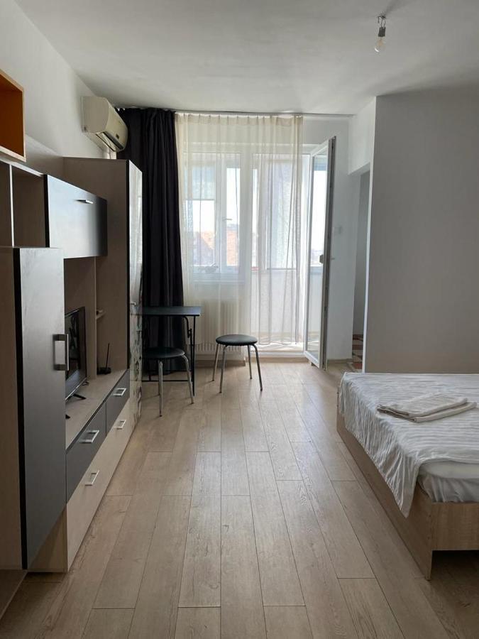 Bega Cirumvalatiunii One Room Apartment- 4 Timişoara Exterior foto